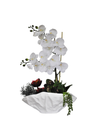 White Orchids and Succulents in Paper Vase