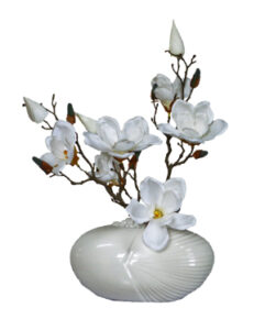 Magnolia in Collen  Vase