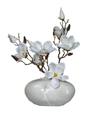 Magnolia in Collen  Vase