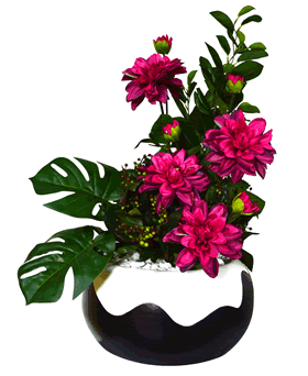 Dahlia's and Delicious Monster in Dual Vase