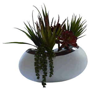 Succulents in Metallic Rimmed Vase