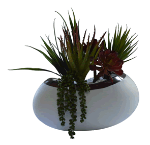 Succulents in Metallic Rimmed Vase