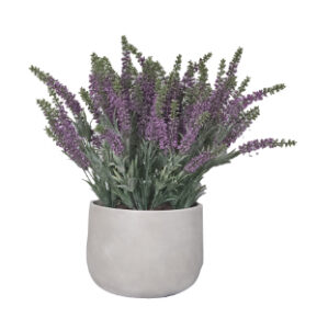 Lavender in Rose Vase