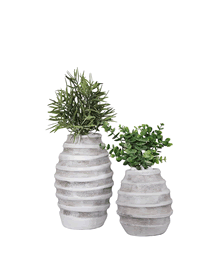 Eucalyptus / Rosemary in Bangle Vase