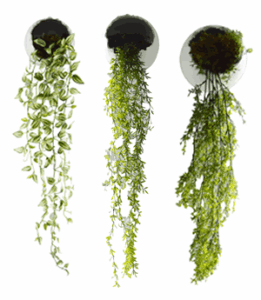 Hanging Scalloped Ceramic Wall Pots