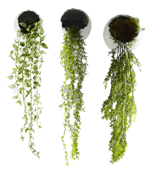 Hanging Scalloped Ceramic Wall Pots