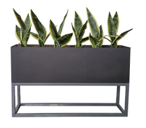 MIL Tongue Bushes in Steel Planter