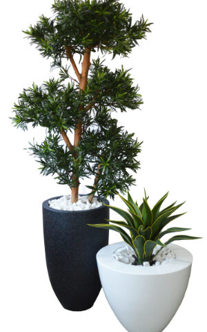 Mini Palm / Diffenbachia